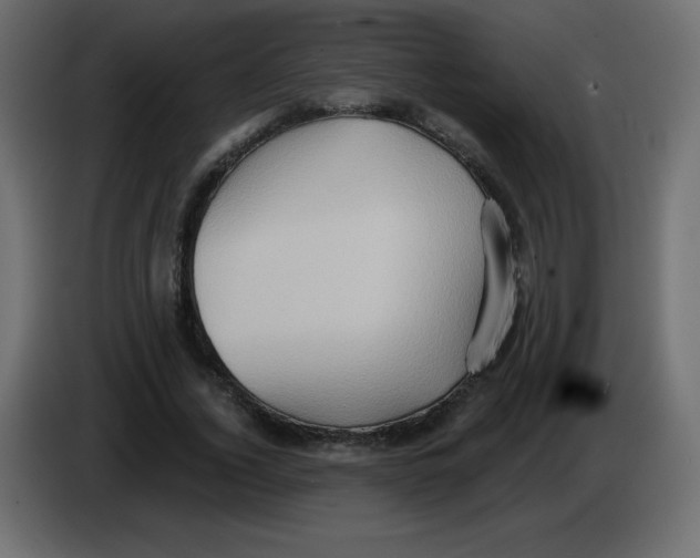 X0000084600732200703231926