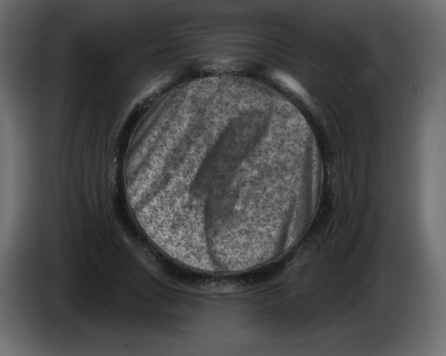 X0000084600735200703231926