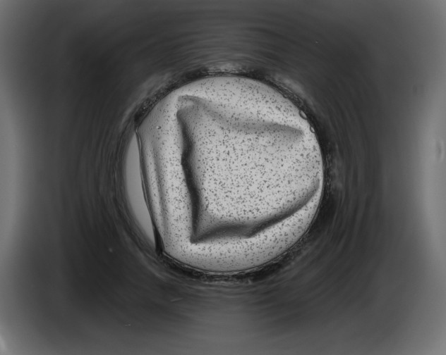 X0000084600738200703231926