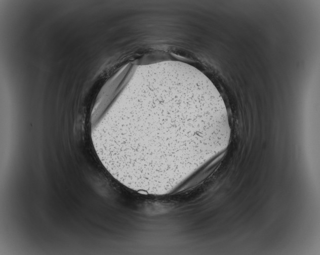 X0000084600739200703231926