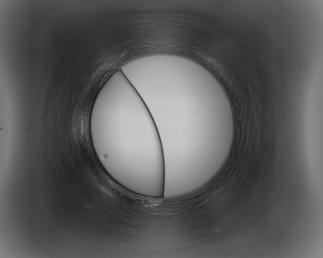 X0000084600740200703231926