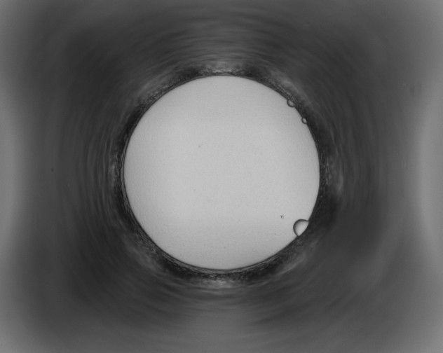 X0000084600741200703231926