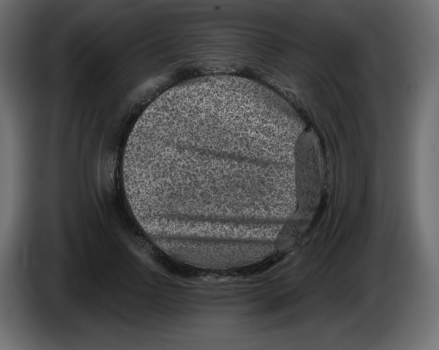 X0000084600742200703231926