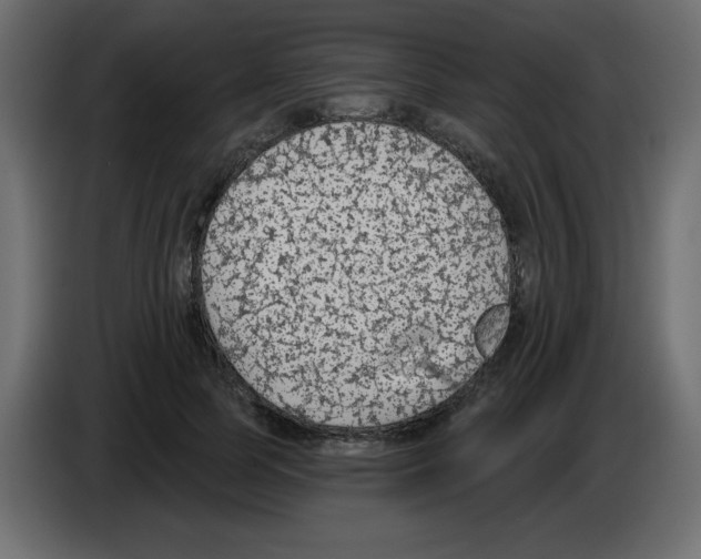 X0000084600745200703231926