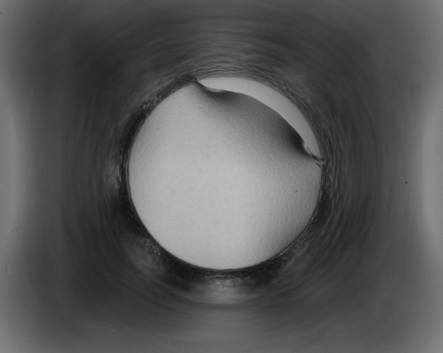 X0000084600746200703231926