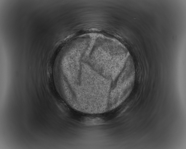 X0000084600747200703231926