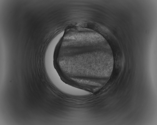 X0000084600748200703231926