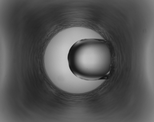 X0000084600750200703231926