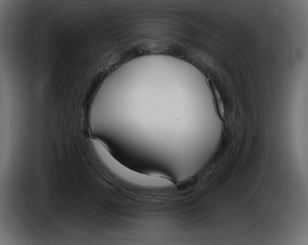 X0000084600752200703231926