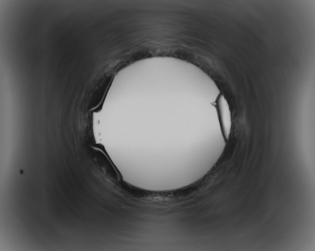 X0000084600756200703231926