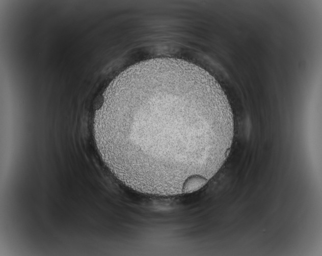 X0000084600757200703231926