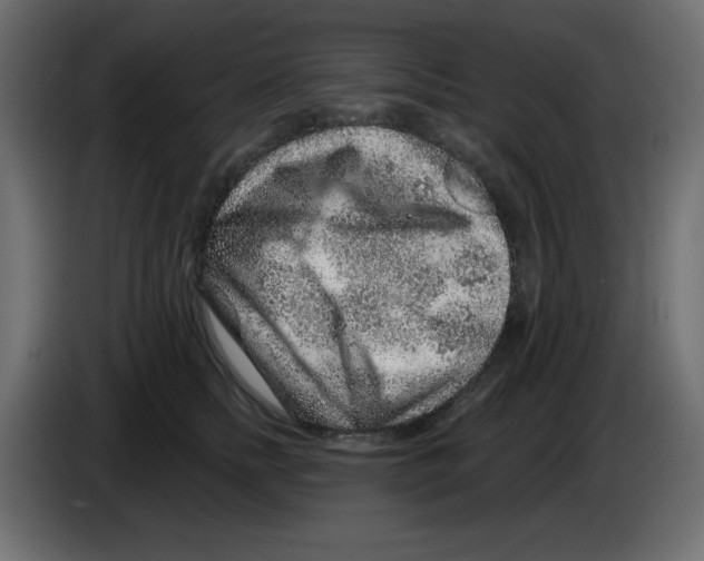 X0000084600758200703231926