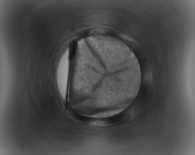 X0000084600759200703231926