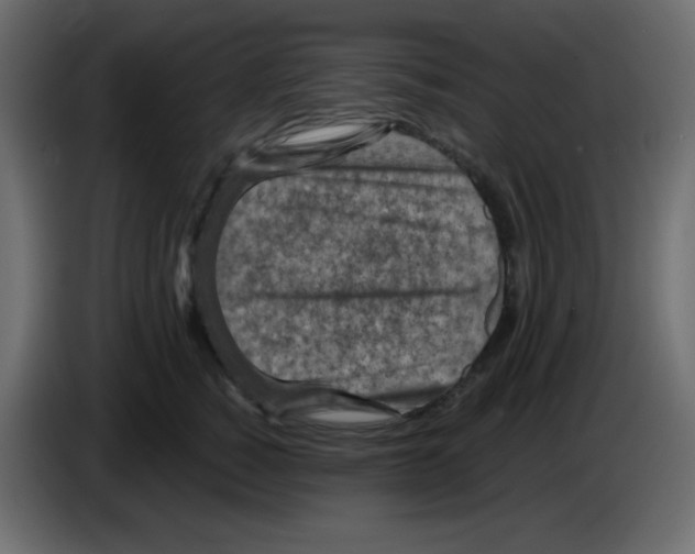 X0000084600760200703231926