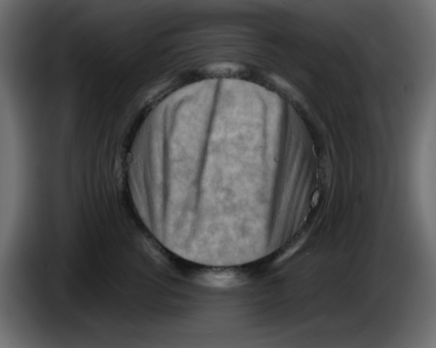 X0000084600762200703231926