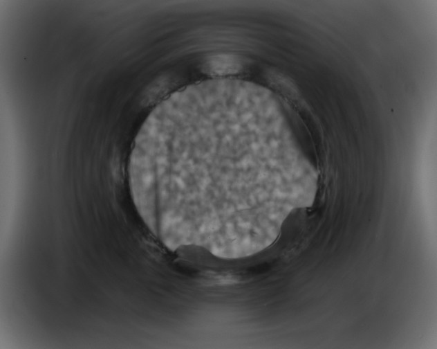 X0000084600763200703231926