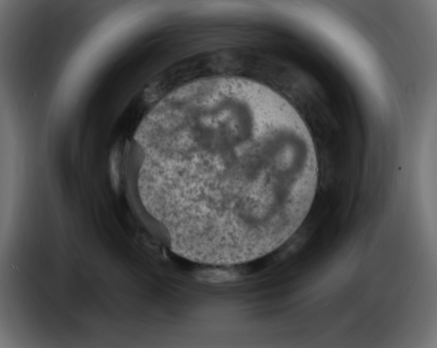 X0000084600765200703231927