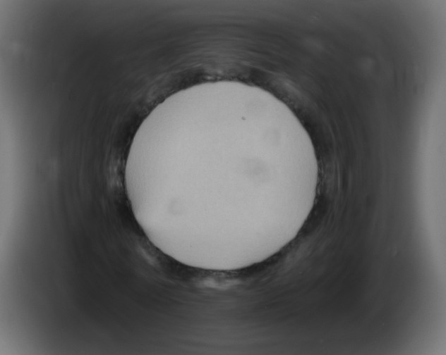 X0000084600770200703231926