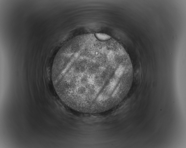 X0000084600772200703231926