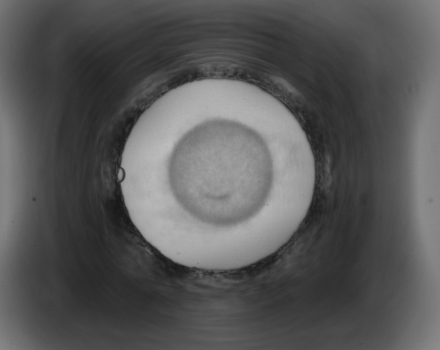 X0000084600774200703231926