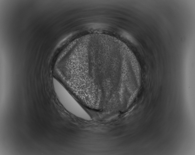 X0000084600775200703231926