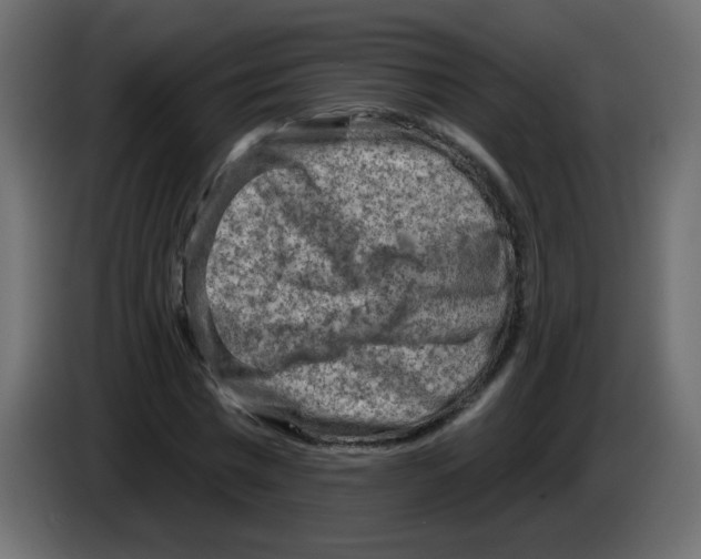 X0000084600777200703231926