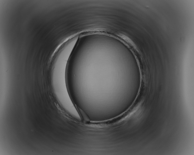 X0000084600781200703231926