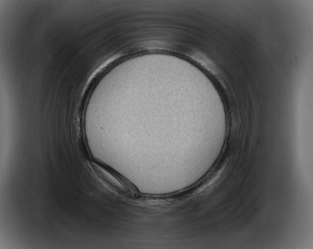 X0000084600782200703231926