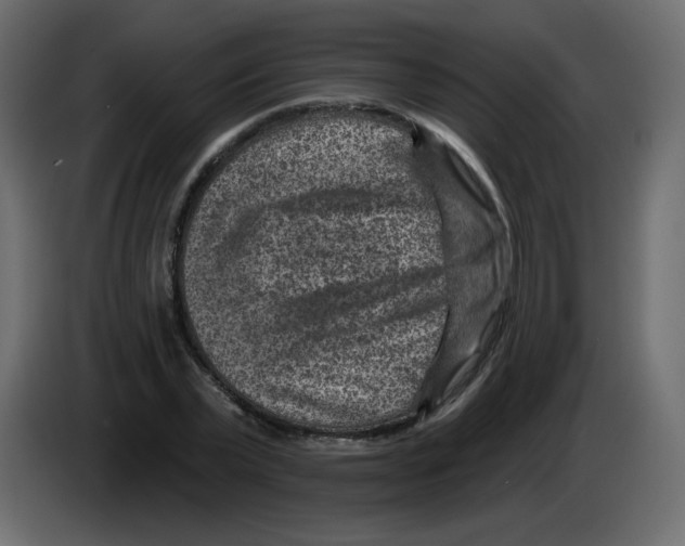 X0000084600783200703231926