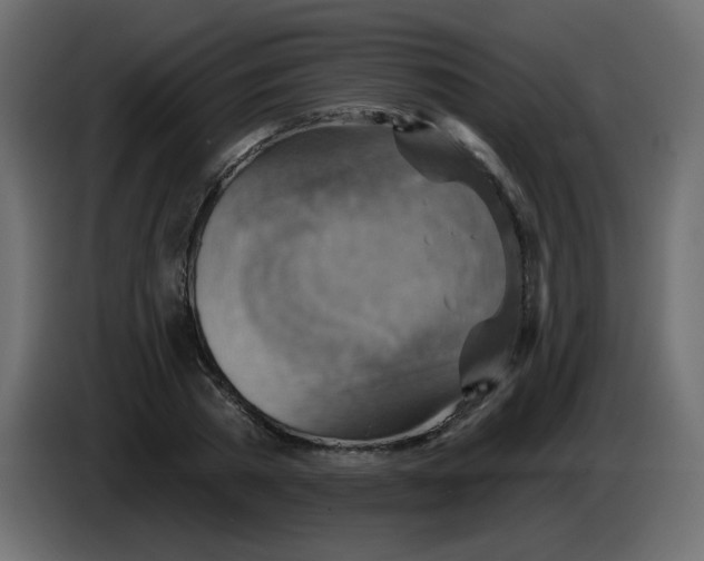 X0000084600785200703231926