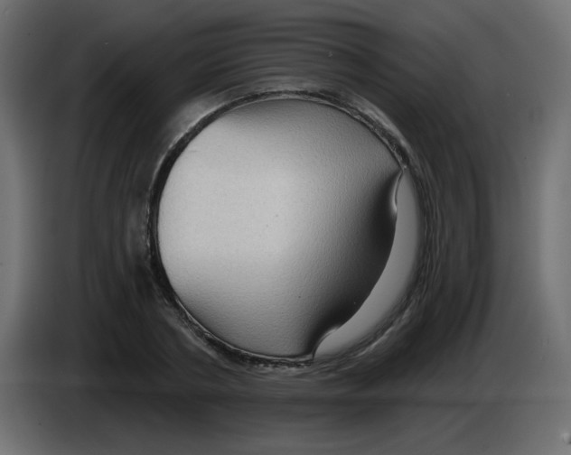 X0000084600786200703231926