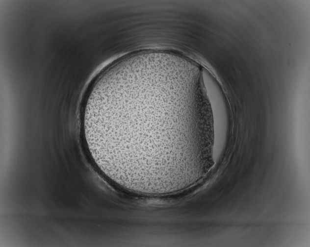 X0000084600787200703231926