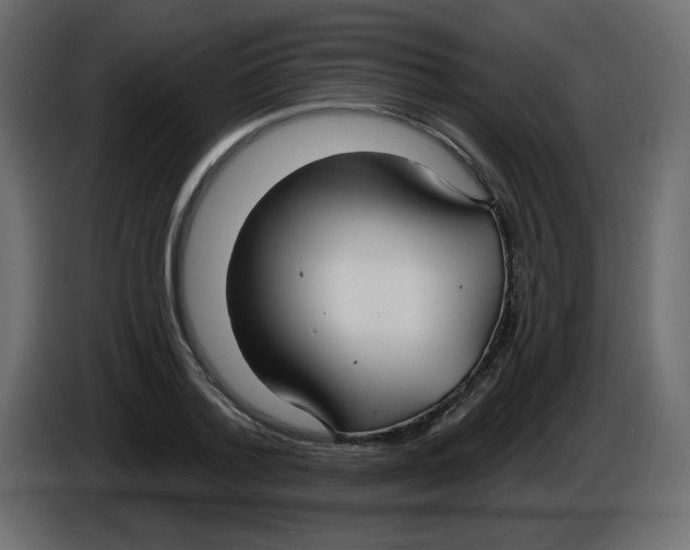 X0000084600788200703231926