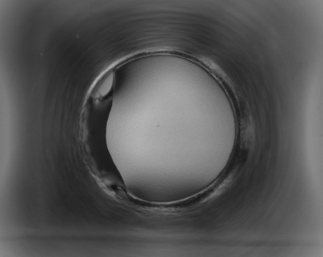 X0000084600789200703231926