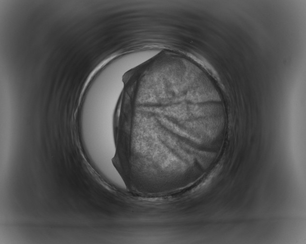 X0000084600798200703231925