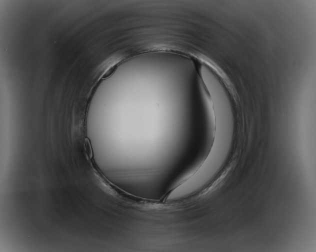 X0000084600801200703231925