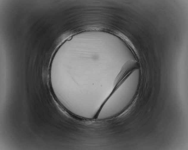 X0000084600802200703231925