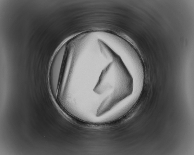 X0000084600803200703231925