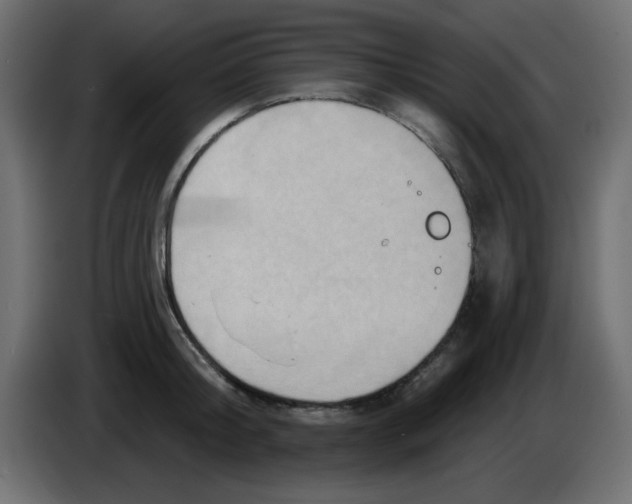 X0000084600804200703231925