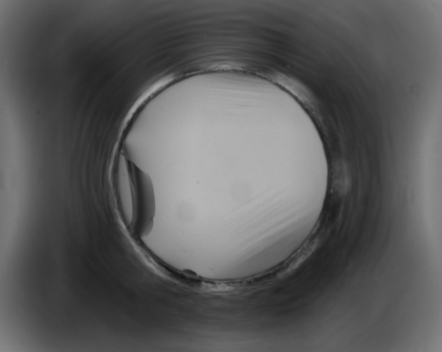 X0000084600806200703231925