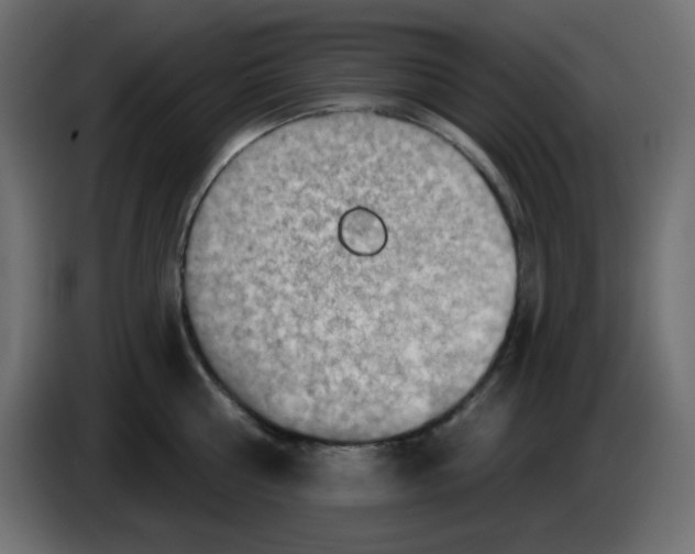 X0000084600810200703231925