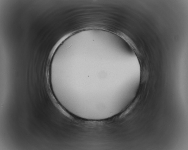 X0000084600812200703231925