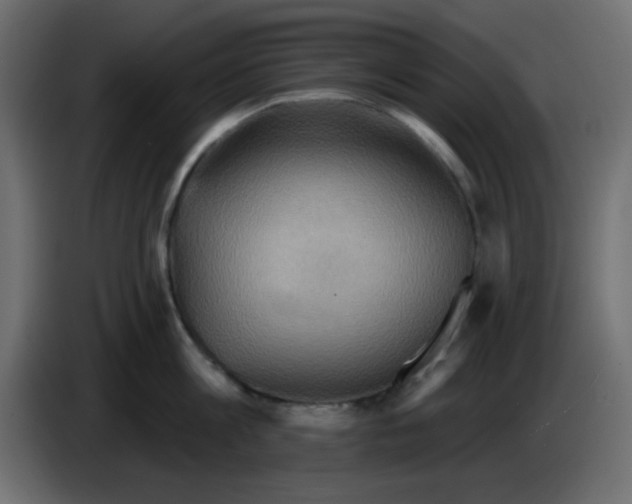 X0000084600813200703231925