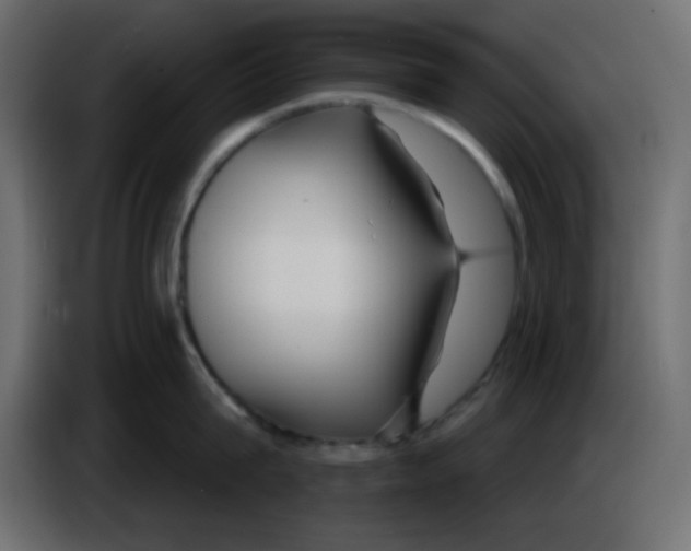 X0000084600815200703231925