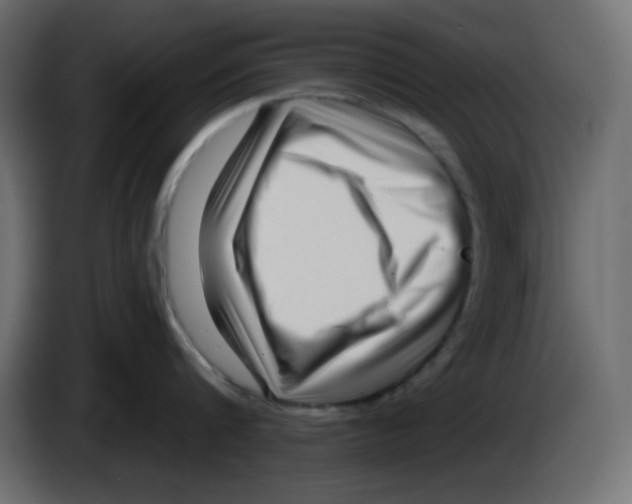 X0000084600816200703231925