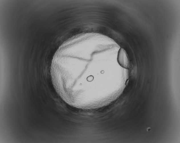 X0000084600819200703231925