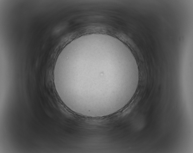 X0000084600820200703231925