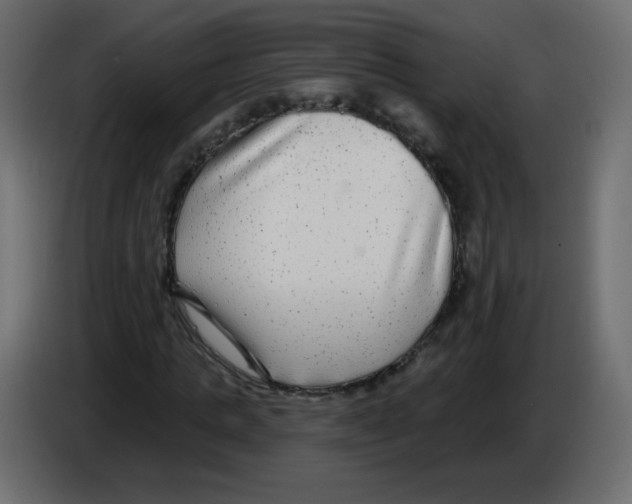 X0000084600821200703231925