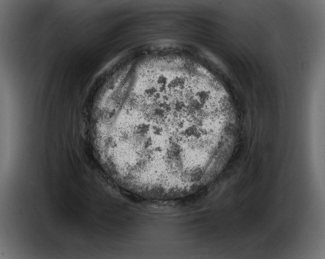 X0000084600823200703231925