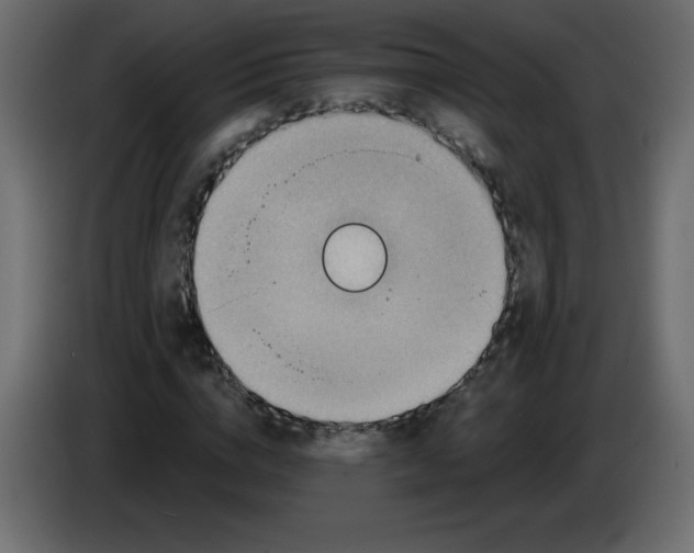 X0000084600824200703231925